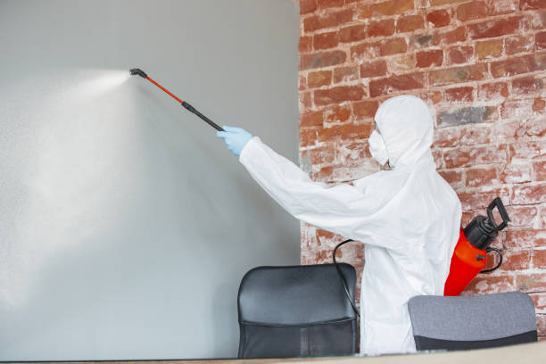 Best Comprehensive Air Testing for Mold Contaminants  in Eastpointe, MI