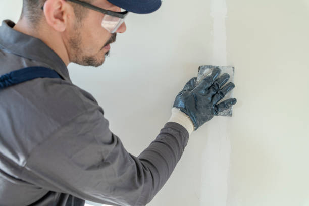 Best Comprehensive Air Testing for Mold Contaminants  in Eastpointe, MI