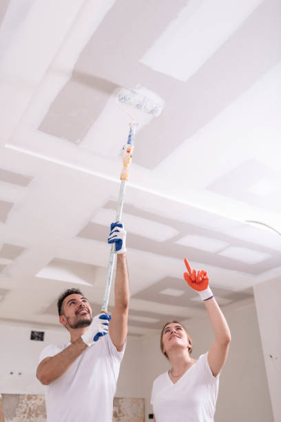 Best Biohazard Mold Removal  in Eastpointe, MI