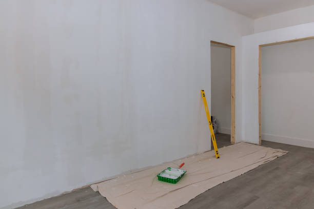 Best Basement Mold Removal  in Eastpointe, MI