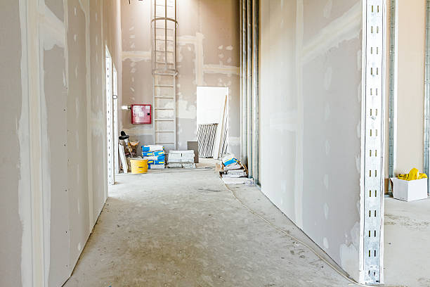 Best Mold Prevention Services  in Eastpointe, MI