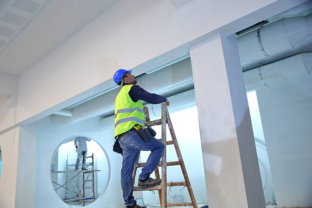 Best Black Mold Removal  in Eastpointe, MI
