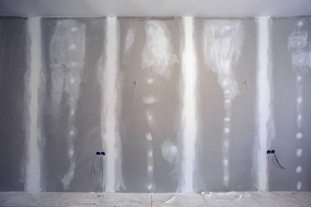 Best Mold Damage Restoration  in Eastpointe, MI
