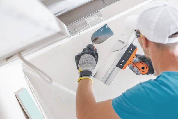 Best Mold Odor Removal Services  in Eastpointe, MI